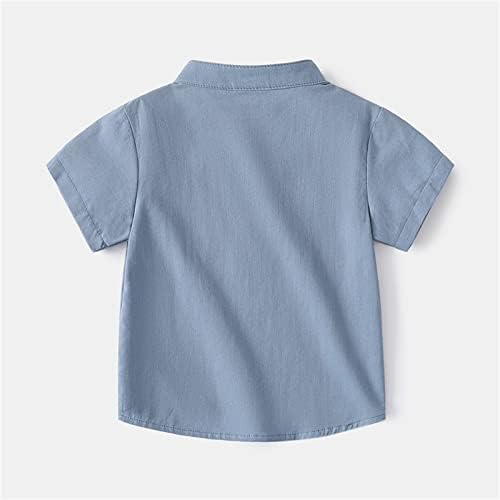 T-Shirt Stílus Kisgyermek Fiúk Lányok Rövid Ujjú Húsvéti Nyúl Rajzfilm Nyomtatott Gyerekek Maximum Póló (0314E-Kék, 18-24 Hónap)