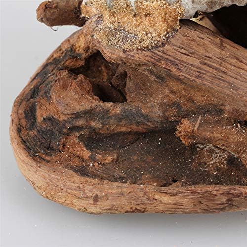 crapelles Moss Uszadék Fa Gomba Műkertészet Keret Akvárium Dekoráció Segít Egyensúlyban Víz pH-érték Táj Kézzel készített 7-9 Természetes