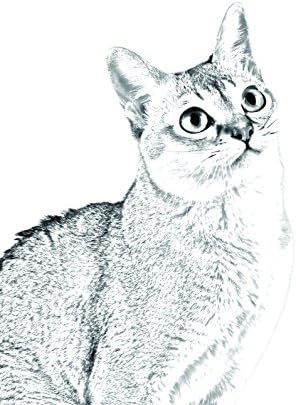 Művészeti Kutya Kft. Szingapúr Macska, Ovális alakú Sírkő a Kerámia egy Kép egy macska