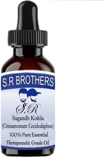 S. R Testvérek Sugandh kokila (Cinnamomum Cecidodaphne) Pure & Natural Therapeautic Minőségű illóolaj Cseppentő 30ml