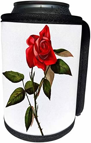 3dRose Művészi Egyetlen Szár Vörös Rózsa - Lehet Hűvösebb Üveg Wrap (cc_355328_1)