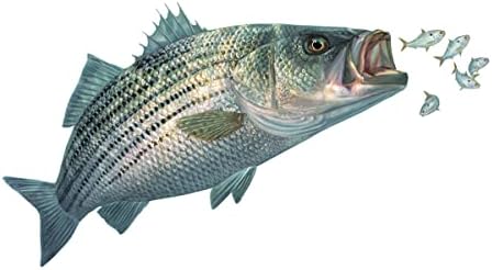 Csíkos Bass Fishing Matricák a Csalihal üldöznek, mi Baja Halászati Matricák UV Védett Hal Matrica, valamint a Yeti Matricák