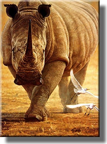 Rhino Wildlife Safari Kép Feszített Vászon, Wall Art Dekor, Készen arra, hogy Lógni!