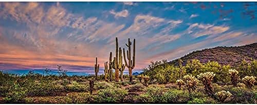 AWERT 36x18 hüvelyk Terrárium Háttér a Kék Eget Felhő Hatalmas Kaktuszt Oázis Góbi Hüllő Élőhely Háttér Vinil