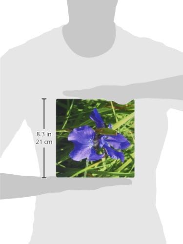 3dRose LLC 8 x 8 x 0,25 Hüvelyk Kék Iris egérpad (mp_20062_1)