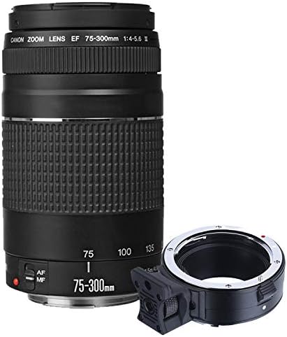 Canon EOS R10 tükör nélküli Digitális Fényképezőgépet a RF-S 18-45mm az STM Objektív + 75-300mm Objektív + 420-800mm Szuper Teleobjektív
