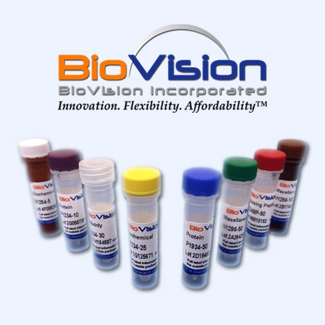 BioVision Galectin-7, humán rekombináns, 4647-10