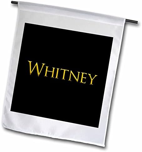 3dRose Whitney Közös kisfiú Neve Amerikában. Sárga, Fekete Zászlók (fl-365927-2)