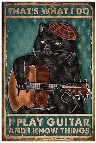 QWEQWEQ Kitty Retro Fém Adóazonosító Jele, Hogy AZ, Amit csinálok én gitároztam, Tudom, hogy minden Fekete Macska Vicces Plakátot, Kávézó,
