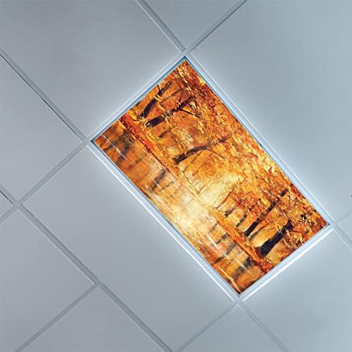 Fénycső Kiterjed a Tanterem Office-Ország Minta-Fénycső Kiterjed a Tanterem Office-2láb x 4ft álmennyezet Fluoreszkáló Dekoratív,Narancs,