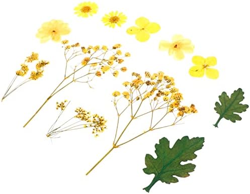 SEWACC 12db Válogatott Préselt Igazi Gyanta Telefon Dekor Art, Hogy a Virágok Sárga Hortenzia Kézműves Levelek Stílus Vegyes Virágos