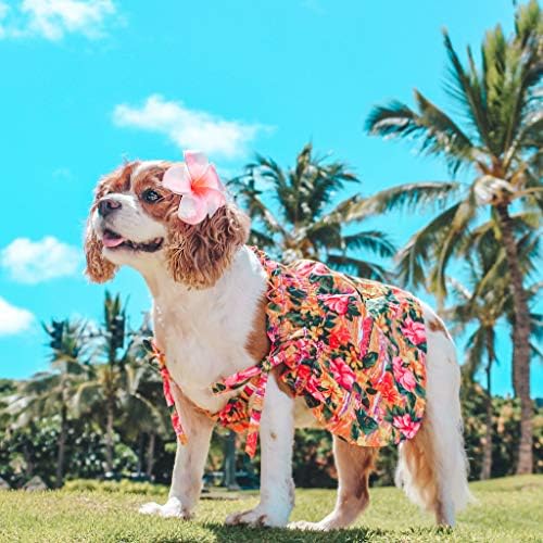 Hawaii Kutya Ruha – Hibiszkusz Nyomtatás Ruha a Lány a Kutyák, XL - Tökéletes Strand Ruhát Háziállat