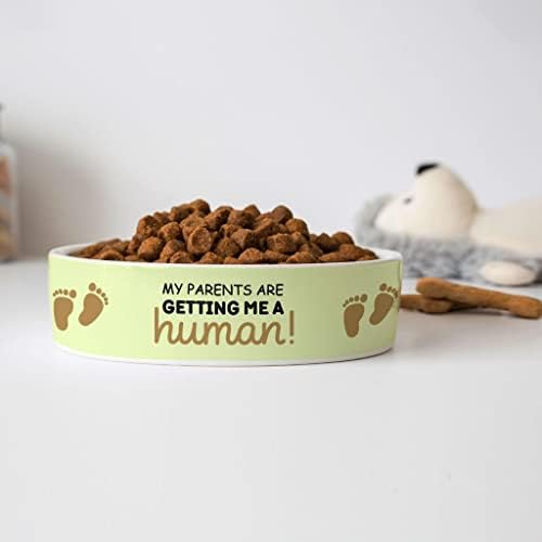 A Szüleim Egyre Nekem Egy Emberi Kisállat Bowl - Text Design kutyatál - Vicces állateledel Tál