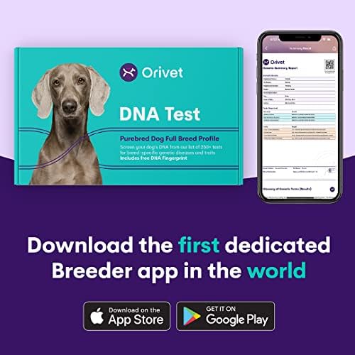 ORIVET Kutya DNS-Teszt Kit - francia Bulldog Teljes Fajta Profil | Kiskutya Tesztelés Ellen 250 Egészségügyi Kockázatok & Vonások