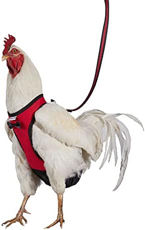Yesito Csirke Hám Tyúk Méret 6ft Megfelelő Póráz Kényelmes, Lélegző & Mosható Kisállat Készlet Csibék, Libák, Kacsák & Több – Megkönnyítése
