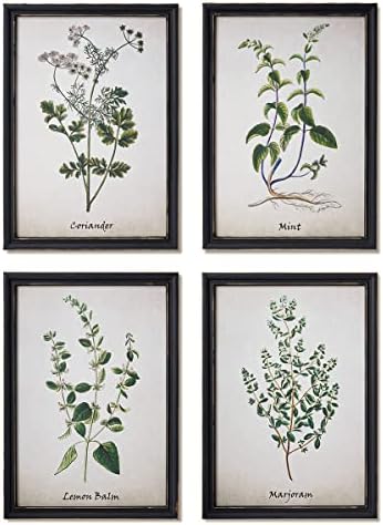NELONY Gyógynövények Konyha falán Művészi Nyomatok Dekoráció, Vintage Keretes Botanikus Művészet, 4 DB 10x14 Parasztház Fali