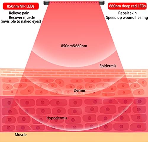 A vörös Fény Terápia Készülék 80LEDs Infravörös Fény Terápia állvánnyal(15-60),660nm＆850nm Mély Vörös Fény Terápia a Szervezet számára,