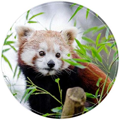 HEOEH Erdő Vörös Panda Medve Bambusz, Csúszásmentes Lábtörlő 15.7 Kerek Szőnyeg, Szőnyegek Szőnyeg Gyerekeknek Hálószoba Baba