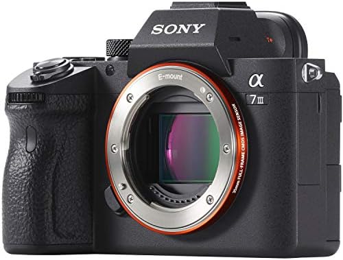 Sony a7III Full Frame tükör nélküli Fényképezőgép ILCE-7M3 Filmkészítő Kit a DJI Ronin-SC 3-Tengely Kézi Gimbal Stabilizátor Csomag