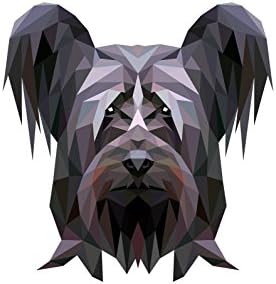 Skye Terrier, Sírkő Kerámia Plakett egy Kép egy Kutyát, Geometriai