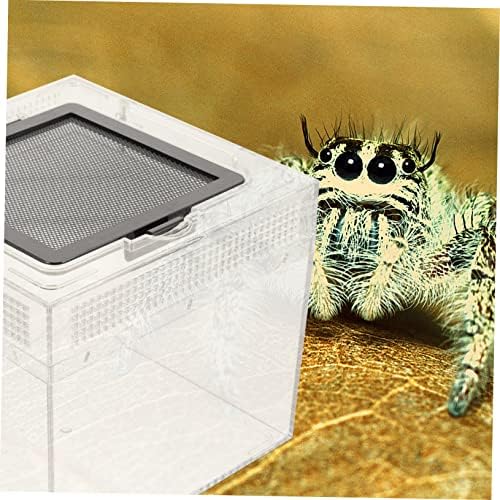 Ipetboom Doboz Gyíkok Tenyésztő Portable Pet Keltetés Kapus Tenyésztési Hüllők Akril Élőhely Isopods Csiga Kreatív Pók Takarmány