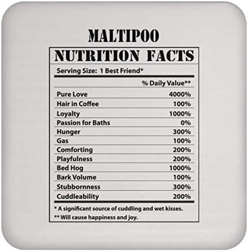 Vicces Maltipoo Táplálkozási Tények Fehér Karácsony 2023 Ajándékok Hullámvasút